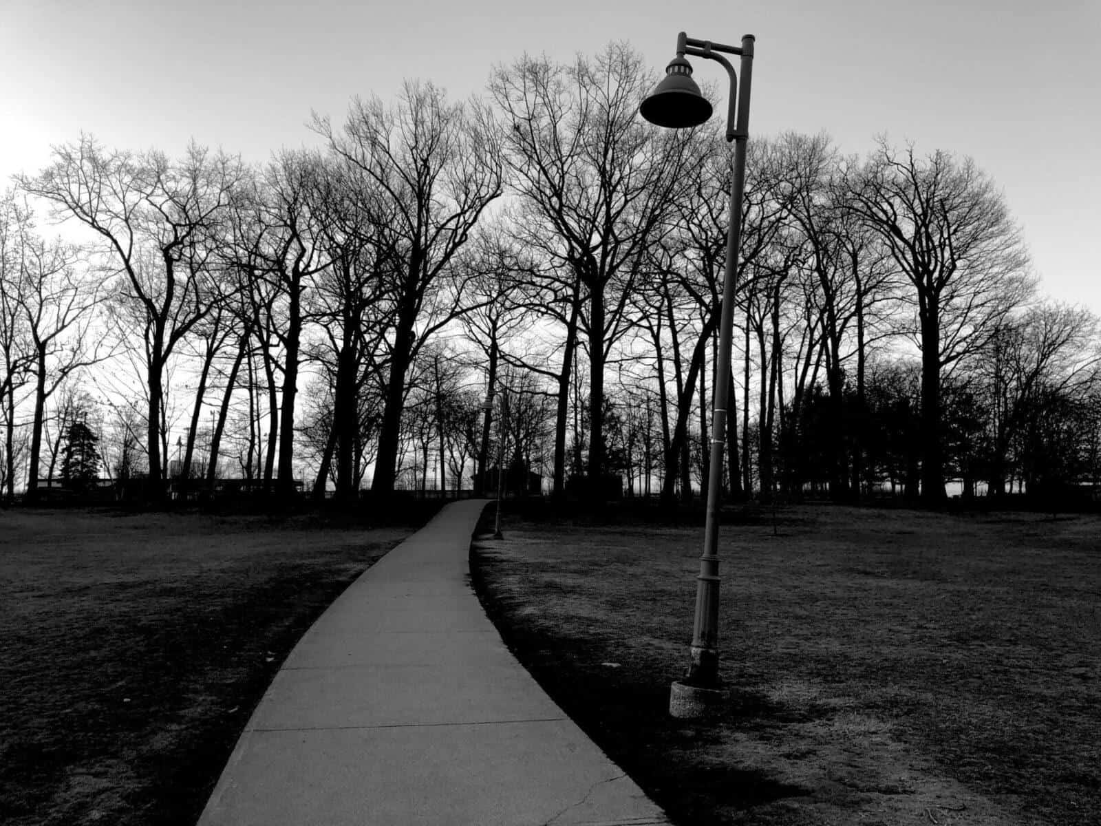 Black and white photo of a winding path through a park with bare trees in the background.