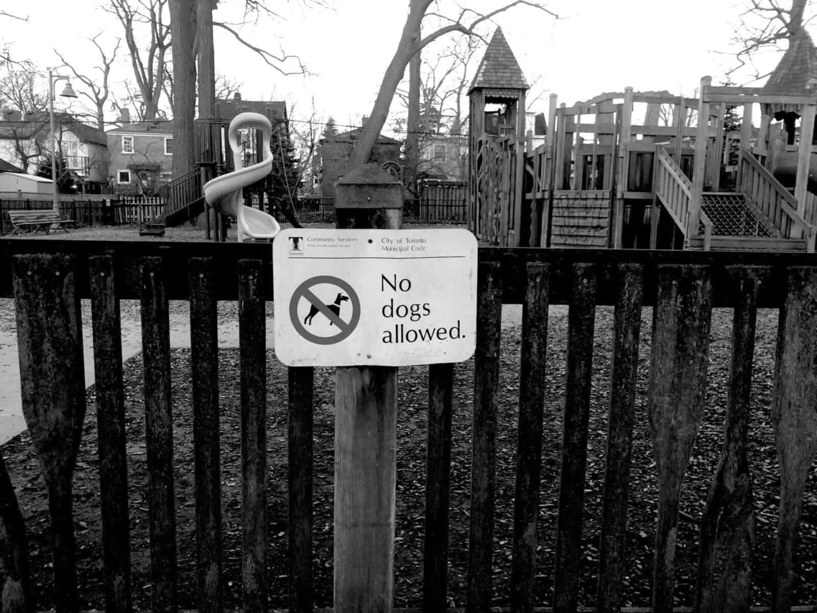 Black and white photo of a sign in a park that reads "No Dogs Allowed" in front of a playground.