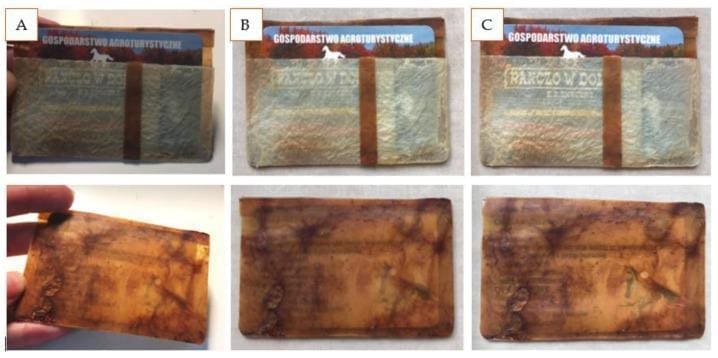 A photo showing the degradation of an apple-based card holder over time. Images A, B, and C show the initial state, after 1 week, and after 1 month, respectively.