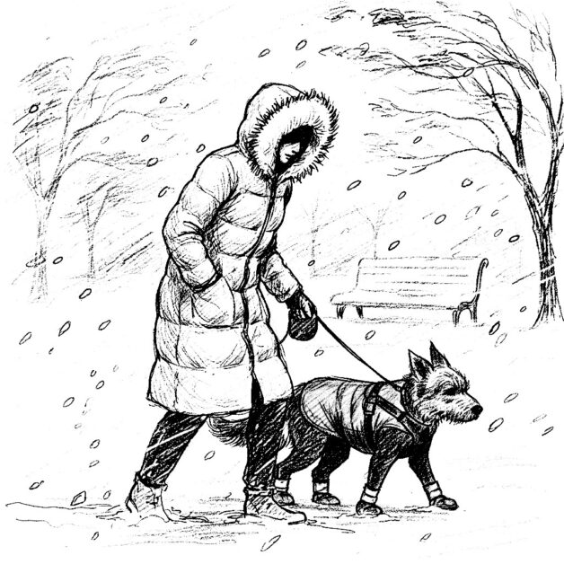 Black and white sketch of a person wearing a NOIZE parka with a faux fur hood, walking a dog in a blizzard. The dog wears a harness, winter coat, and boots.