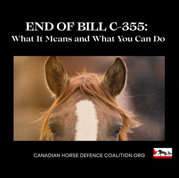 Close-up of a horse's face with text about Bill C-355 ending and advocacy.