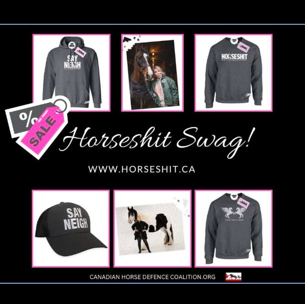 Horse-themed swag including hoodies, hats, and shirts for horse lovers.