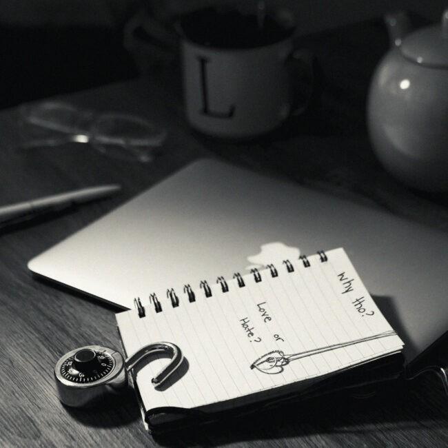 blog write writer vegan activist lucylooellis the honest whisper laptop mac macbook note book lock pen mug glass tea why tho love or hate notes blogger writter work desk space accessories black and white