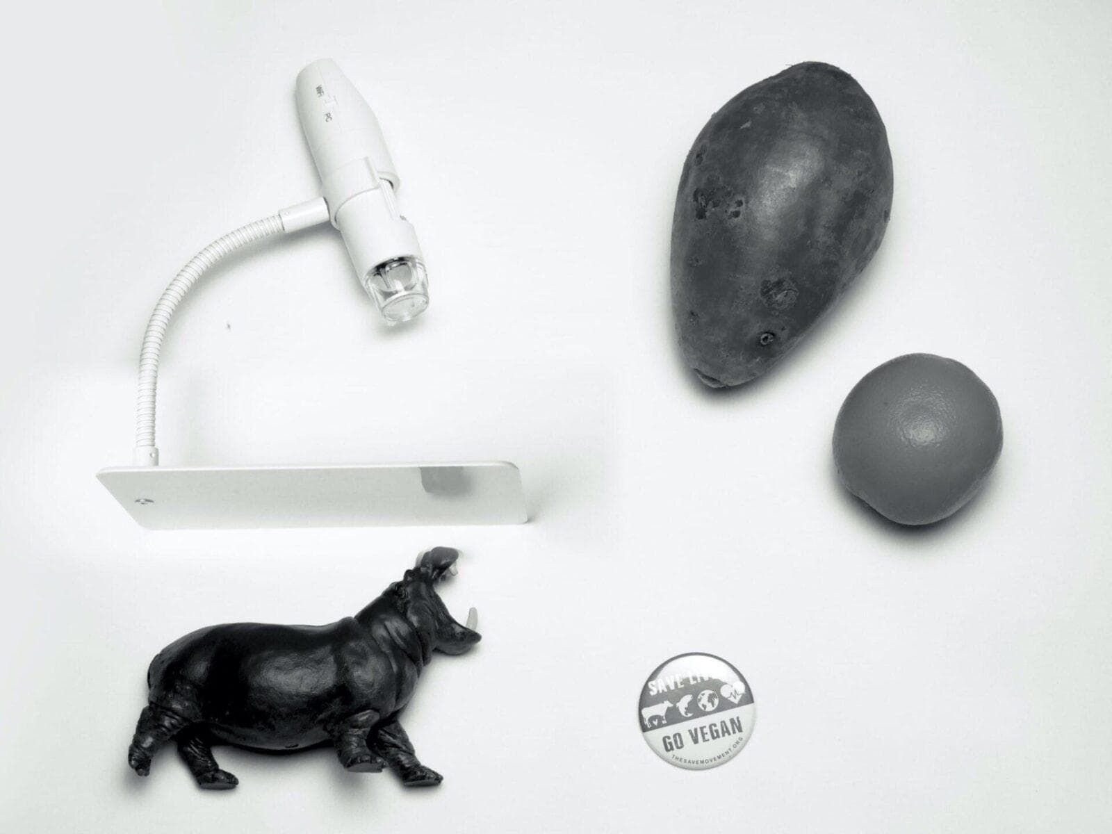 Black and white photo of a small desk lamp, a potato, an orange, a hippopotamus figurine, and a button with the words "Go Vegan" on it.