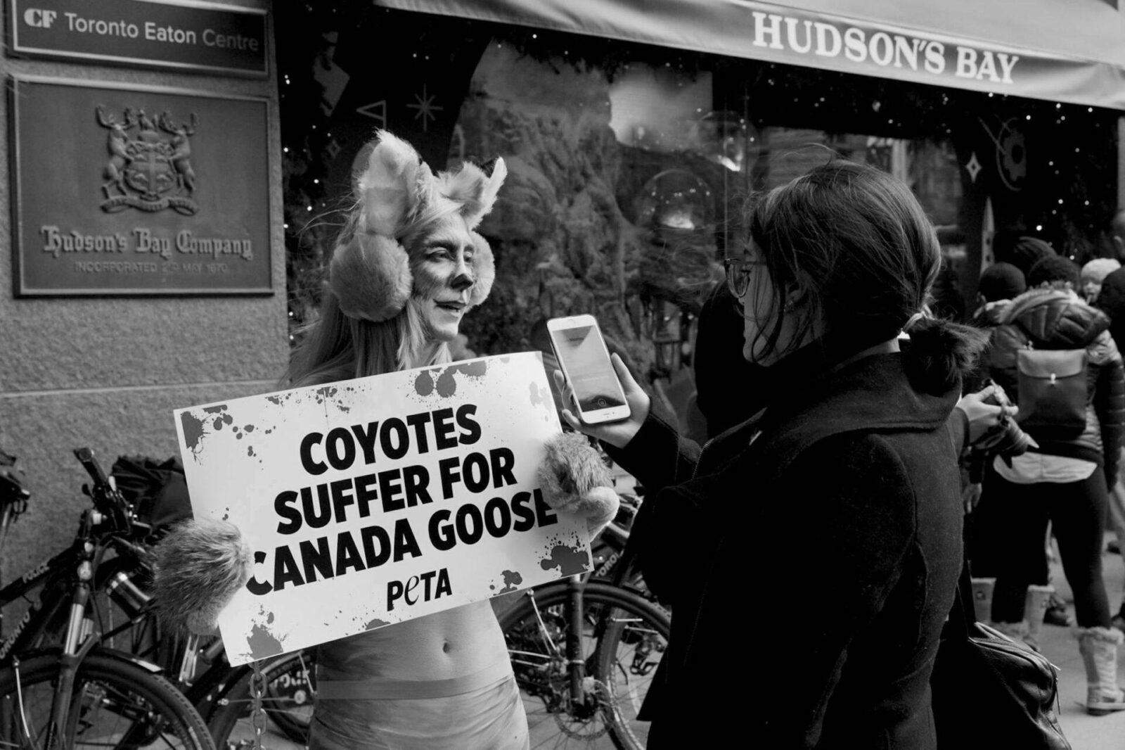 Black and white photo of Laura at an anti-fur protest, wearing fake ears and face paint, holding a sign that reads "Coyotes suffer for Canada Goose." She is talking to another person.