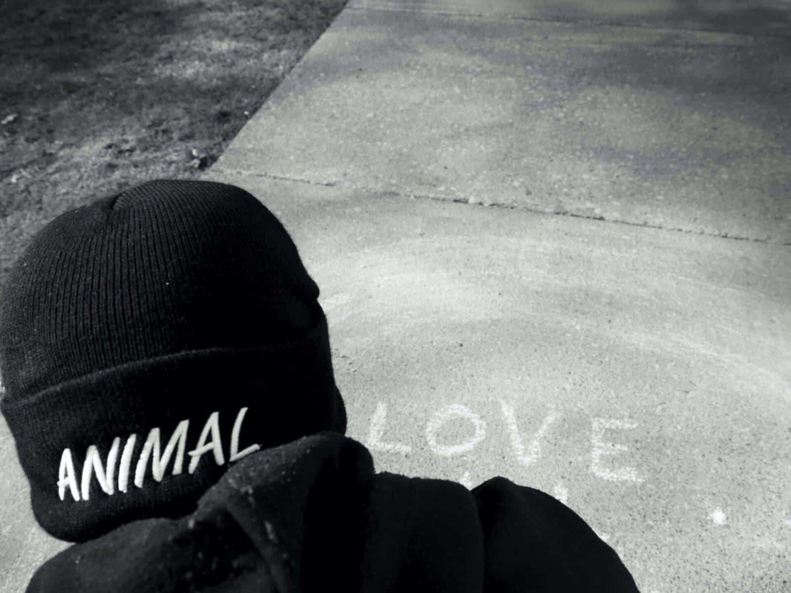 Black and white photo of a person wearing a beanie with the word "ANIMAL" embroidered on it, looking down at the word "LOVE" written in chalk on the ground.