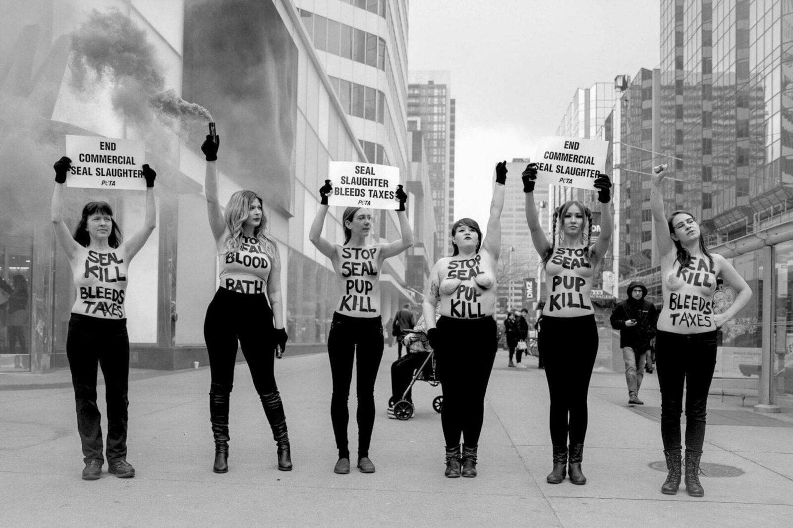 Nude Activism for Animal Rights: My Experience with PETA & DxE Nude Protests