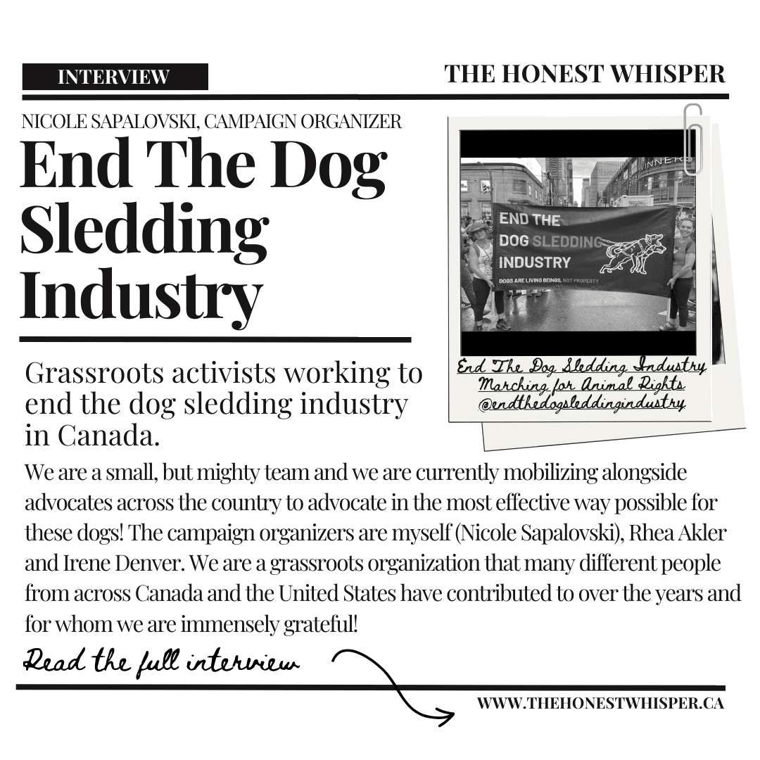 Feature: End The Dog Sledding Industry