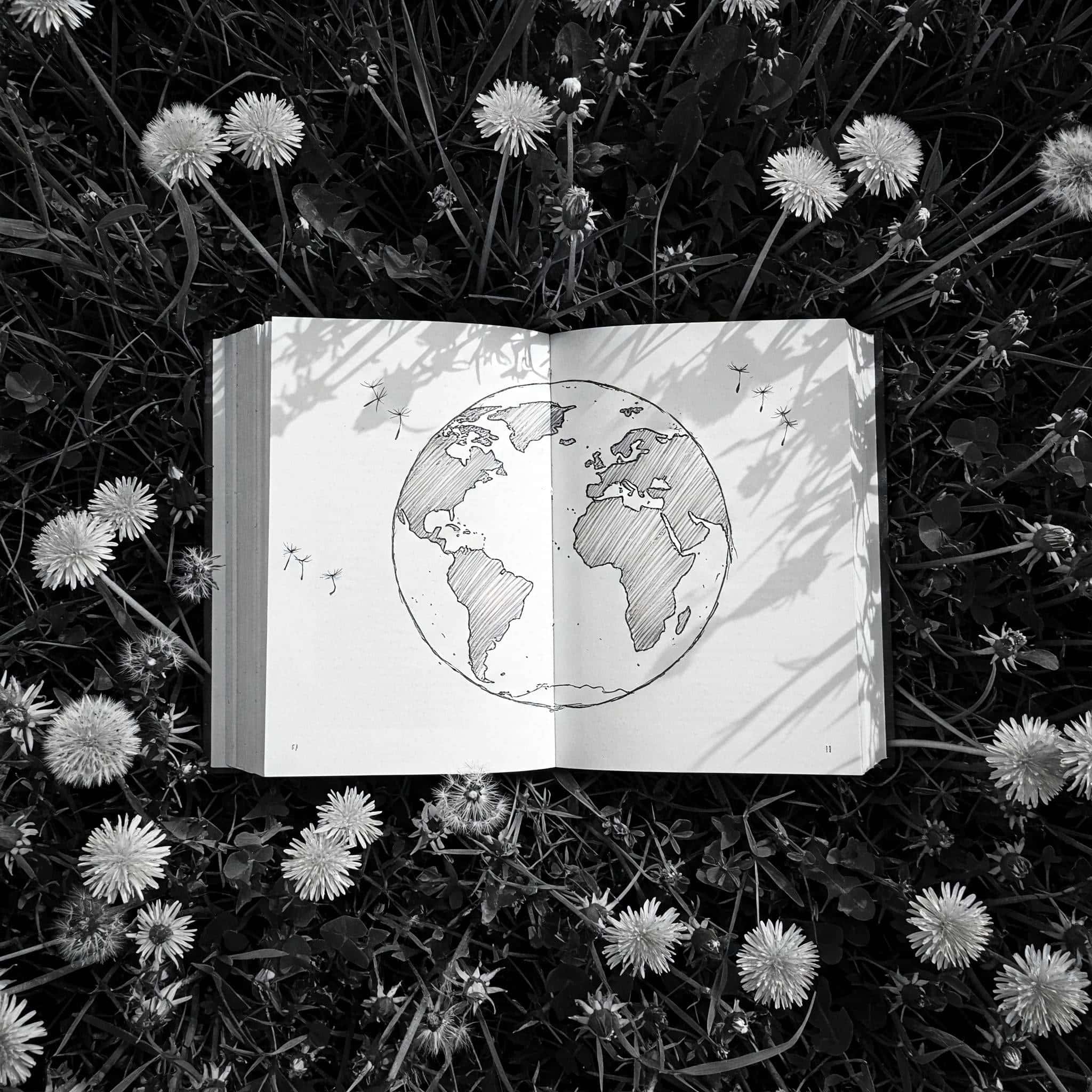 A Guide to Going Vegan For the Environment