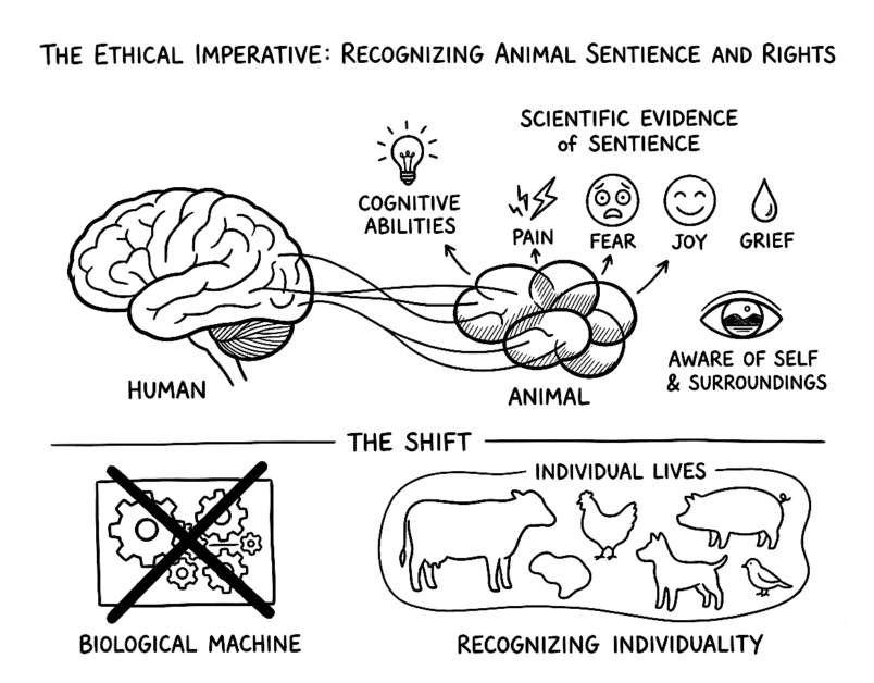 Diagram illustrating animal sentience, cognition, and rights for vegan awareness.