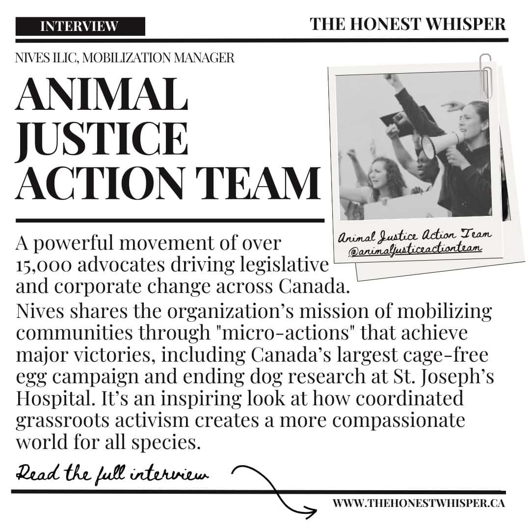 Feature: Animal Justice Action Team