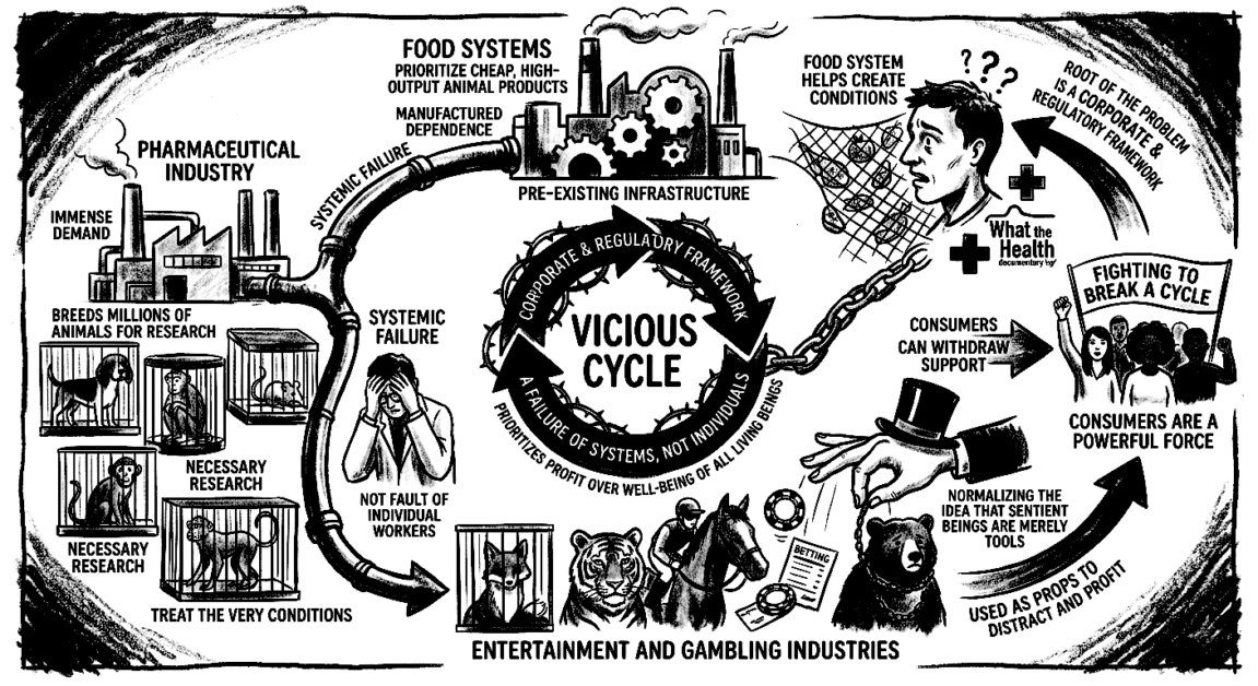 Illustration highlighting the cycle of issues in the breeding industry affecting animal health and w.