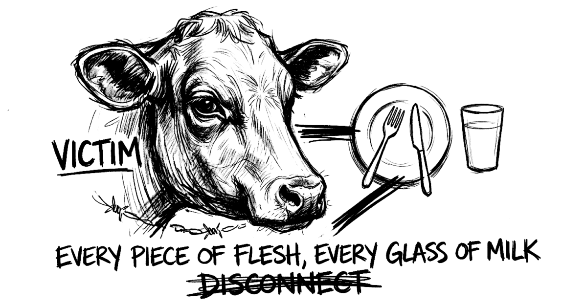 Victim cow with empty plate and glass, highlighting animal suffering in veganism.